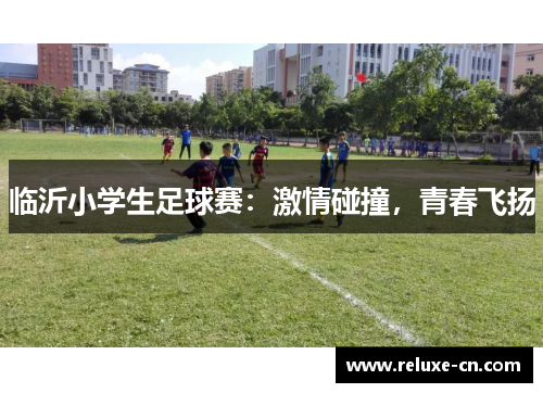 临沂小学生足球赛：激情碰撞，青春飞扬